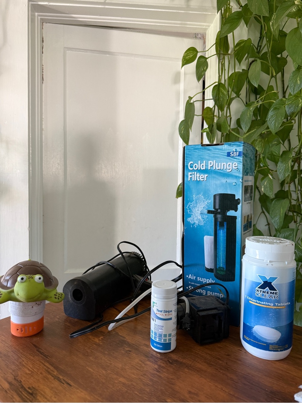 Small home cleaning kit for home pool - plunge filter, Xtreme clear, strips